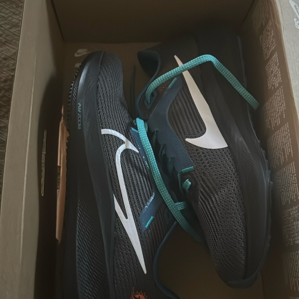 Women’s Nike Zoom Pegasus 40 Dolphins Sneakers NIB